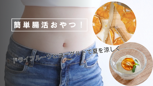 暑い夏の腸活に!ドライフルーツ&ヨーグルトの簡単手作りおやつレシピ