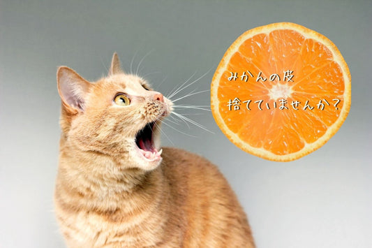 捨てるなんてもったいない!みかんの皮と白い筋は栄養の宝庫